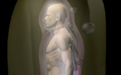 desenho de perfil de um corpo humano, com os ovóides (esferas ovoidais) presas em sem campo energético